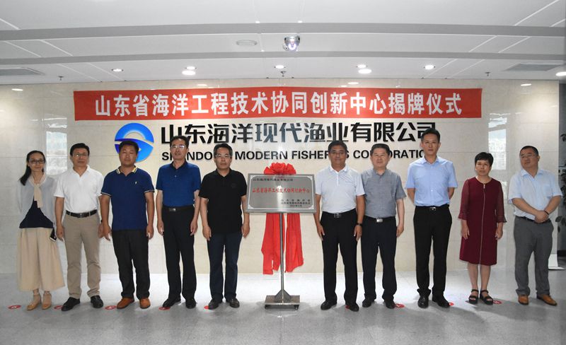 365英国上市公司(集团)官方网站-Global Platform