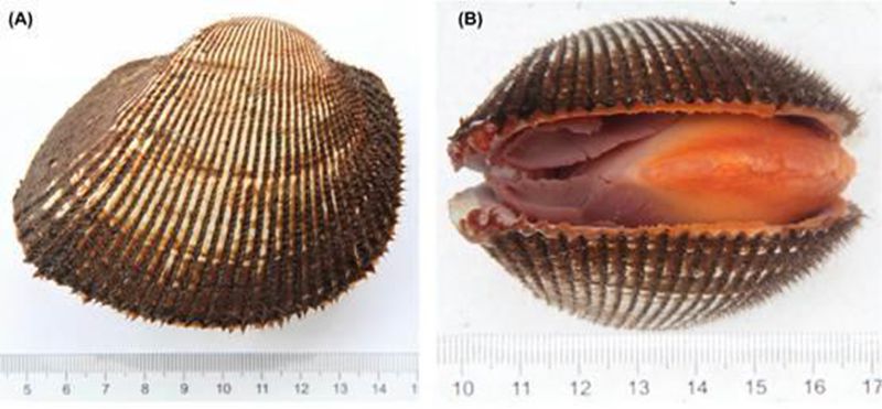 365英国上市公司(集团)官方网站-Global Platform