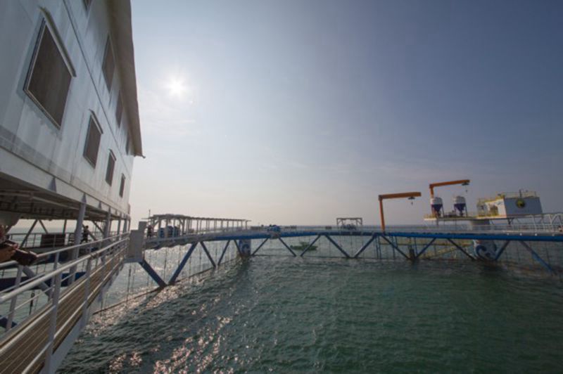 365英国上市公司(集团)官方网站-Global Platform