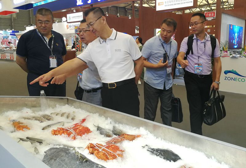 365英国上市公司(集团)官方网站-Global Platform