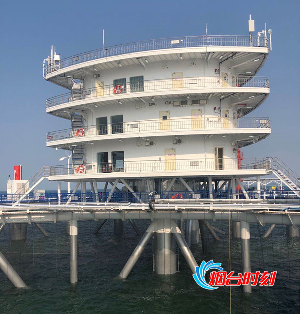 365英国上市公司(集团)官方网站-Global Platform