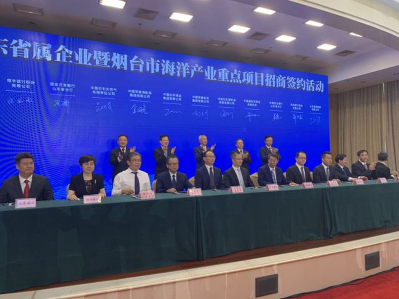 365英国上市公司(集团)官方网站-Global Platform