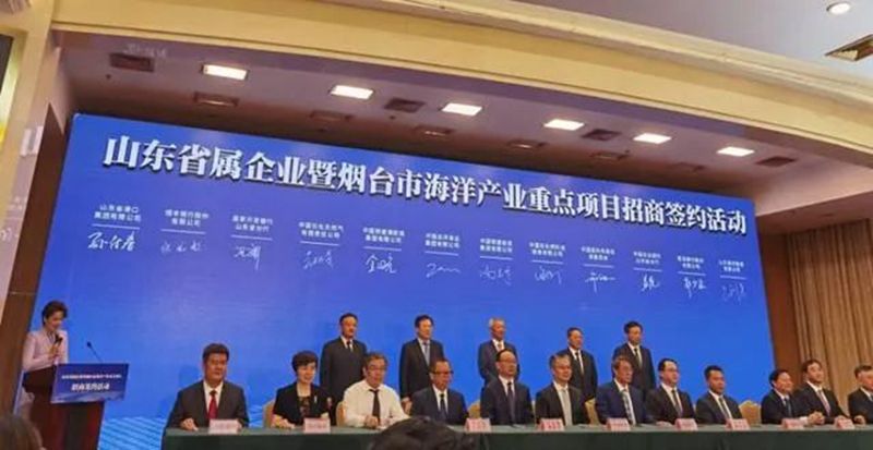 365英国上市公司(集团)官方网站-Global Platform