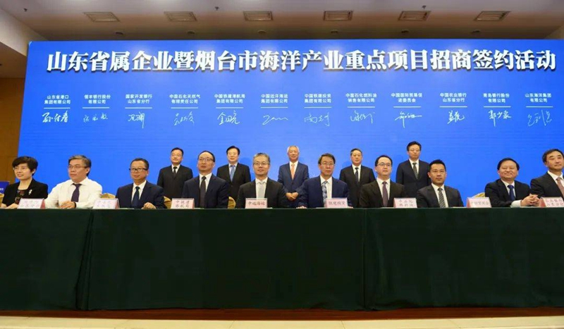 365英国上市公司(集团)官方网站-Global Platform