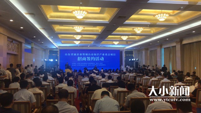 365英国上市公司(集团)官方网站-Global Platform