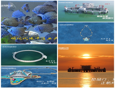 365英国上市公司(集团)官方网站-Global Platform