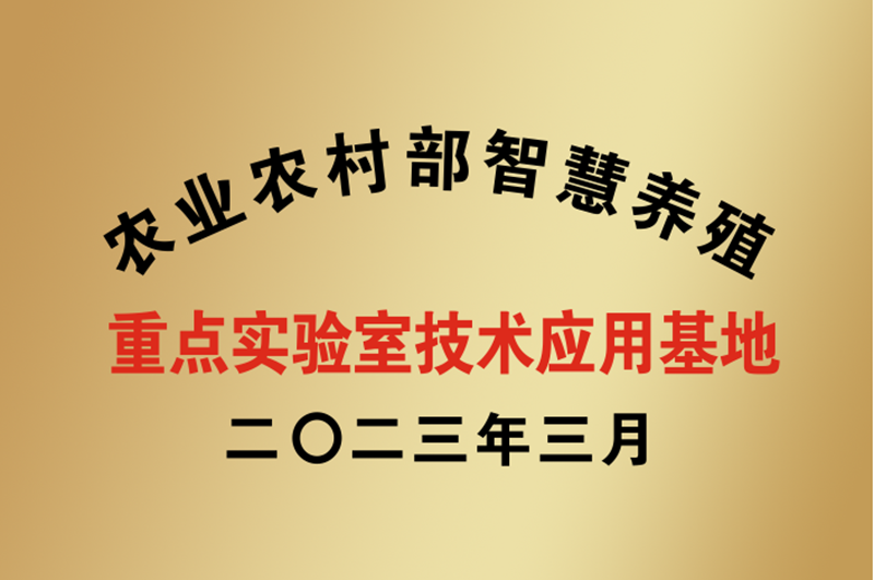 365英国上市公司(集团)官方网站-Global Platform