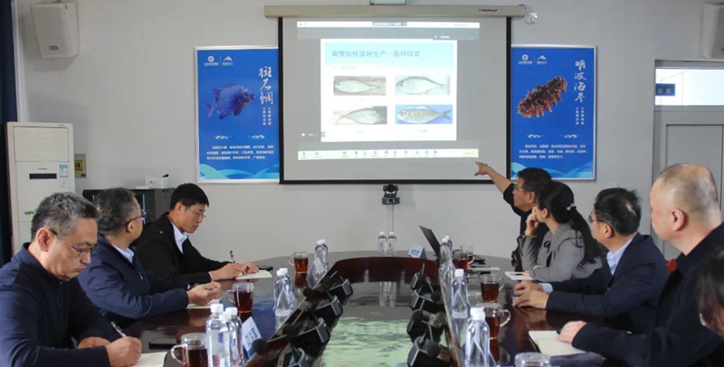 365英国上市公司(集团)官方网站-Global Platform