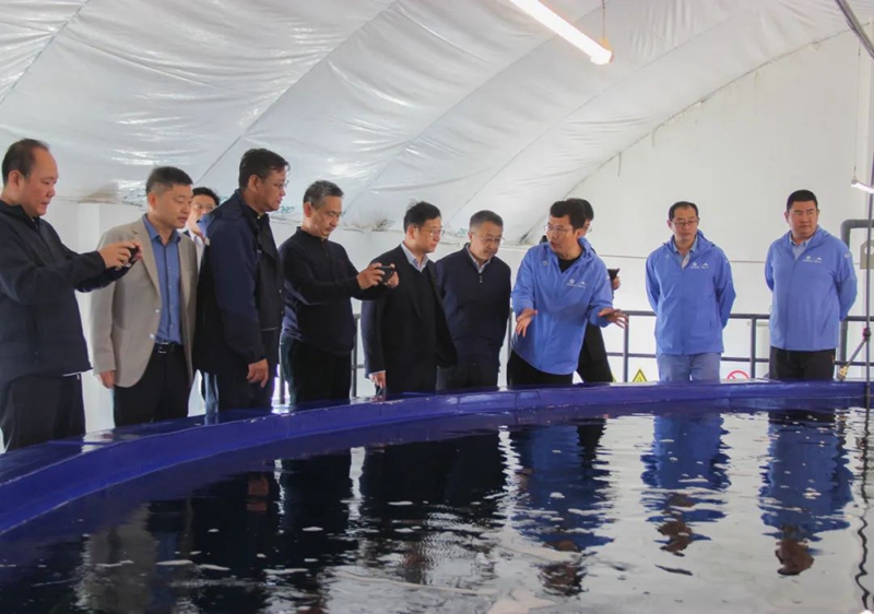 365英国上市公司(集团)官方网站-Global Platform