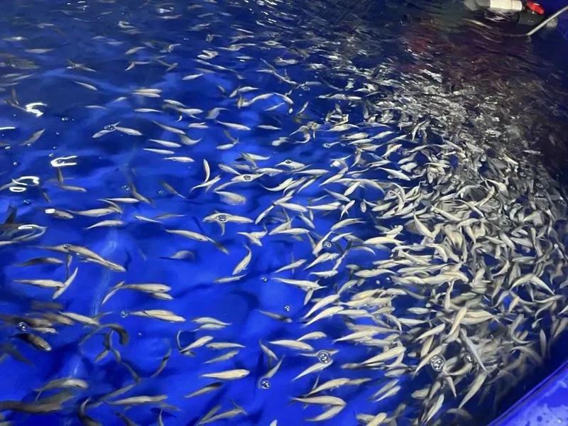 365英国上市公司(集团)官方网站-Global Platform