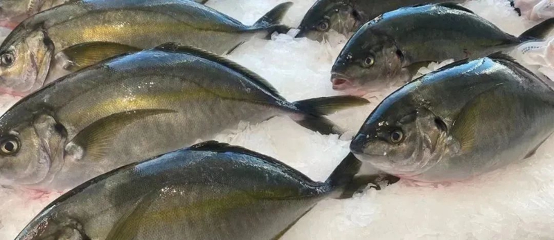 365英国上市公司(集团)官方网站-Global Platform