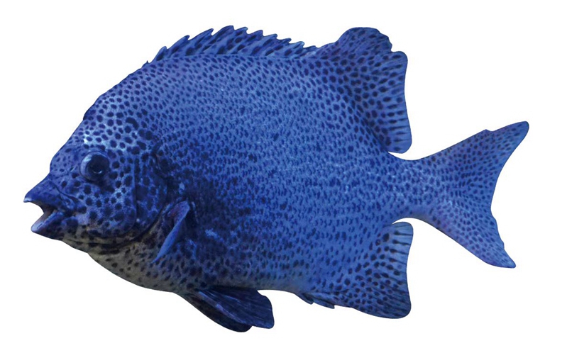 365英国上市公司(集团)官方网站-Global Platform