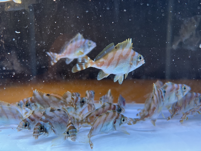 365英国上市公司(集团)官方网站-Global Platform