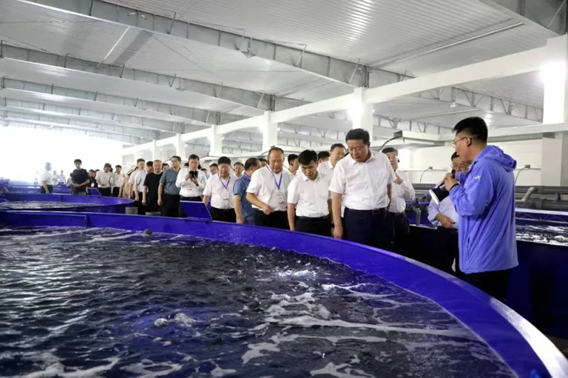 365英国上市公司(集团)官方网站-Global Platform