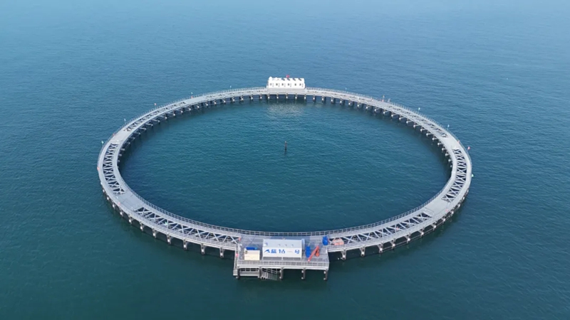 365英国上市公司(集团)官方网站-Global Platform