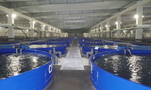 365英国上市公司(集团)官方网站-Global Platform