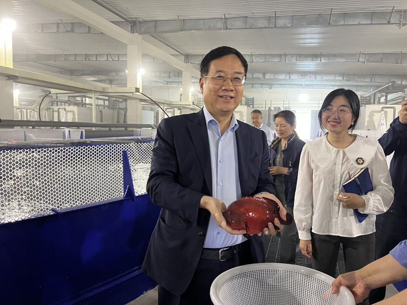 365英国上市公司(集团)官方网站-Global Platform