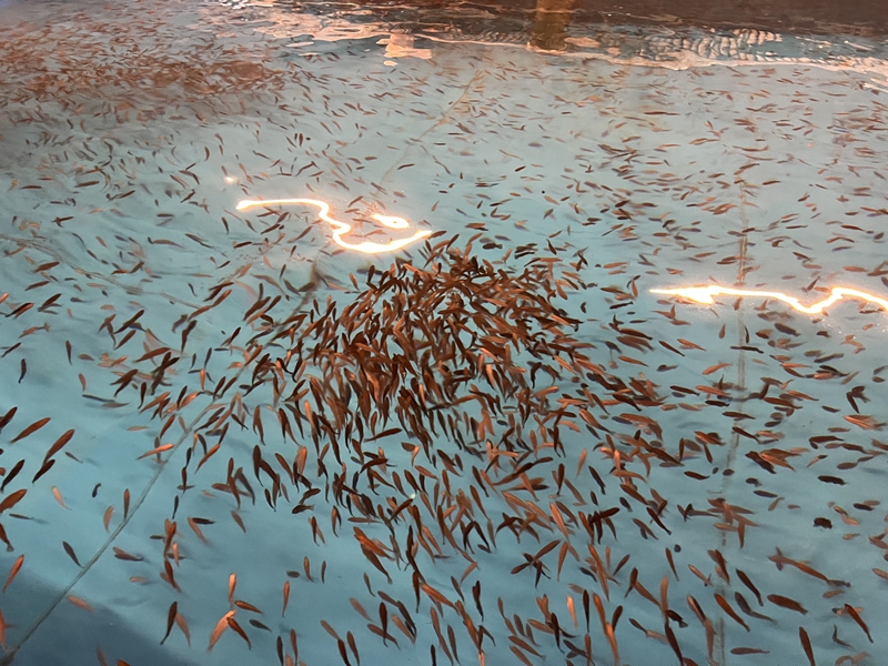 365英国上市公司(集团)官方网站-Global Platform