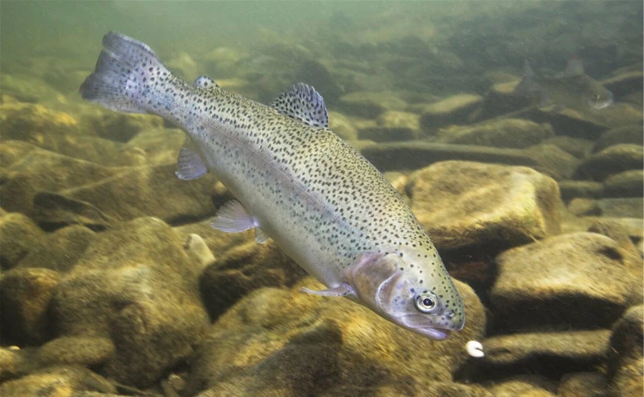 365英国上市公司(集团)官方网站-Global Platform