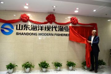 190619132411t0ea8_360x240