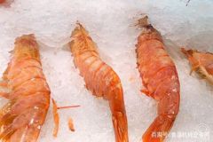 190723145126238u0_240x160