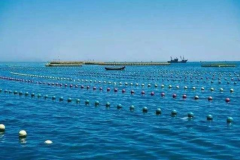 1908081339152edv6_240x160