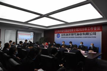 200410140019o368f_360x240