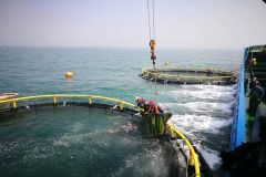 200707214625pqxl3_240x160