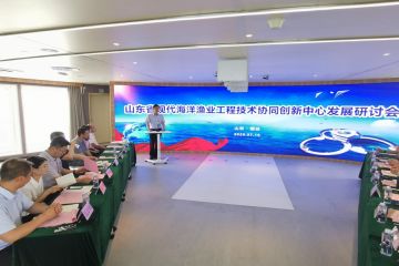 2007171628350zdqn_360x240