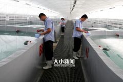 200731073821f087p_240x160