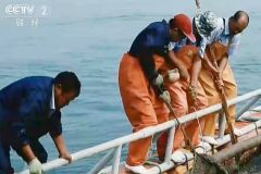 200812144133huesx_240x160