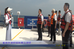 2008130906011l453_240x160