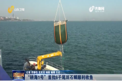 201101212314w7bm9_240x160