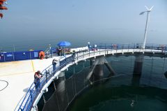 201118092833er2wo_240x160