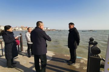 210120181622julic_360x240