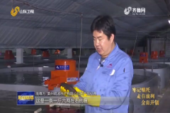 2101220837568a6g4_240x160