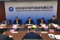 210301092400rl0p9_240x160