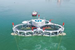 210407135911gyo7b_240x160