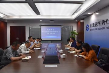 210608180248vb13x_360x240