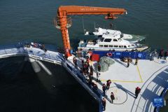 2110230852579fsat_240x160