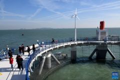 2110230854435snb9_240x160