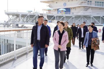 240410142016swpbq_360x240