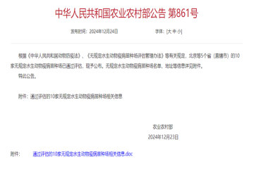 250103083301724ut_360x240