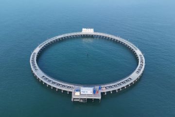 250210090002adlr0_360x240