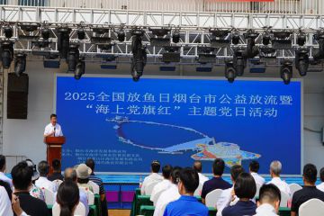 250610142207c356i_360x240