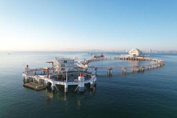 251114093626fiu2x_360x240