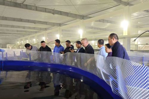 251114094649foe7s_500x333